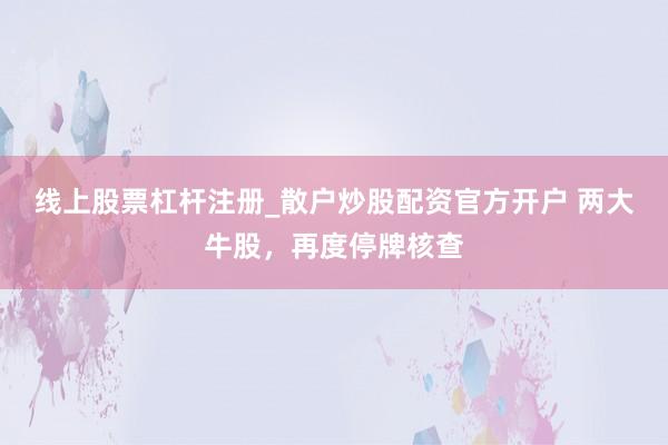 线上股票杠杆注册_散户炒股配资官方开户 两大牛股，再度停牌核查